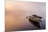 Brivio, Lombardy, Italy. Two Boats on the Adda River at Sunrise.-ClickAlps-Mounted Photographic Print