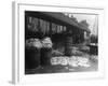 Brixham Fish Market-null-Framed Photographic Print