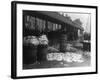 Brixham Fish Market-null-Framed Photographic Print