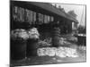 Brixham Fish Market-null-Mounted Photographic Print