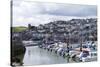 Brixham Harbour and Marina, Devon, England, United Kingdom, Europe-Rob Cousins-Stretched Canvas