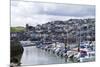 Brixham Harbour and Marina, Devon, England, United Kingdom, Europe-Rob Cousins-Mounted Photographic Print