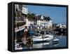 Brixham Harbour, Devon, England, United Kingdom, Europe-Charles Bowman-Framed Stretched Canvas