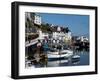 Brixham Harbour, Devon, England, United Kingdom, Europe-Charles Bowman-Framed Photographic Print