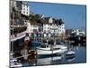 Brixham Harbour, Devon, England, United Kingdom, Europe-Charles Bowman-Mounted Photographic Print