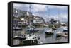 Brixham Harbour, Devon, England, United Kingdom, Europe-Rob Cousins-Framed Stretched Canvas