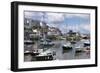 Brixham Harbour, Devon, England, United Kingdom, Europe-Rob Cousins-Framed Photographic Print