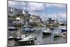 Brixham Harbour, Devon, England, United Kingdom, Europe-Rob Cousins-Mounted Photographic Print