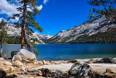 Hidden Lake Trail, Glacier National Park, Montana, Usa-brizardh-Photographic Print