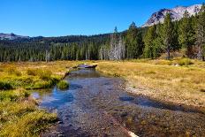 Hidden Lake Trail, Glacier National Park, Montana, Usa-brizardh-Framed Stretched Canvas