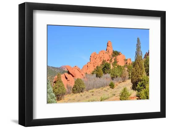 Premium Photographic Print, , large