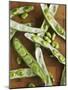 Broad Beans and Pods on a Wooden Surface-Petr Gross-Mounted Photographic Print