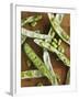 Broad Beans and Pods on a Wooden Surface-Petr Gross-Framed Photographic Print