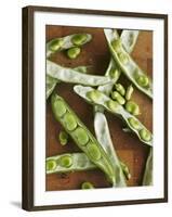 Broad Beans and Pods on a Wooden Surface-Petr Gross-Framed Photographic Print