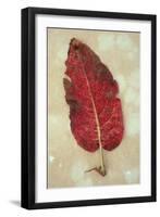 Broad-Leaved Dock-Den Reader-Framed Photographic Print