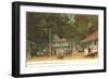 Broad Ripple Park, Indianapolis, Indiana-null-Framed Art Print