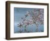 Broad Tailed Hummer-Jeff Tift-Framed Giclee Print