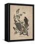 Broad-Winged Buzzard, 1840-John James Audubon-Framed Stretched Canvas