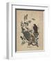 Broad-Winged Buzzard, 1840-John James Audubon-Framed Giclee Print