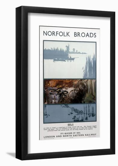 Broads Eels-null-Framed Art Print