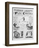 Broadsheet Advertising Professor Likonti's Romanian Flea Circus During Visit to London-null-Framed Photographic Print