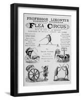 Broadsheet Advertising Professor Likonti's Romanian Flea Circus During Visit to London-null-Framed Photographic Print