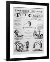 Broadsheet Advertising Professor Likonti's Romanian Flea Circus During Visit to London-null-Framed Photographic Print