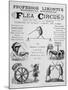 Broadsheet Advertising Professor Likonti's Romanian Flea Circus During Visit to London-null-Mounted Photographic Print