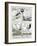 Broadsheet Showing Exploits of French Air Ace Adolphe Pegoud-null-Framed Giclee Print