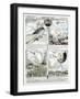 Broadsheet Showing Exploits of French Air Ace Adolphe Pegoud-null-Framed Giclee Print