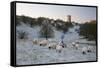 Broadway Tower and Sheep in Morning Frost, Broadway, Cotswolds, Worcestershire, England, UK-Stuart Black-Framed Stretched Canvas