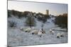 Broadway Tower and Sheep in Morning Frost, Broadway, Cotswolds, Worcestershire, England, UK-Stuart Black-Mounted Photographic Print