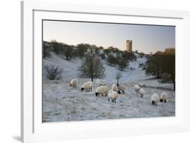 Broadway Tower and Sheep in Morning Frost, Broadway, Cotswolds, Worcestershire, England, UK-Stuart Black-Framed Photographic Print