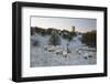 Broadway Tower and Sheep in Morning Frost, Broadway, Cotswolds, Worcestershire, England, UK-Stuart Black-Framed Photographic Print