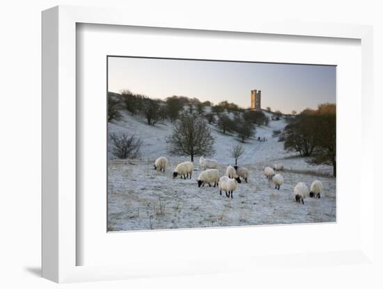 Broadway Tower and Sheep in Morning Frost, Broadway, Cotswolds, Worcestershire, England, UK-Stuart Black-Framed Photographic Print