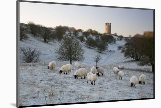 Broadway Tower and Sheep in Morning Frost, Broadway, Cotswolds, Worcestershire, England, UK-Stuart Black-Mounted Photographic Print