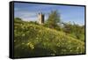 Broadway Tower with Cowslips, Broadway, Worcestershire, England, United Kingdom, Europe-Stuart Black-Framed Stretched Canvas