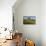 Broadway Tower with Cowslips, Broadway, Worcestershire, England, United Kingdom, Europe-Stuart Black-Photographic Print displayed on a wall