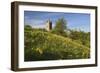 Broadway Tower with Cowslips, Broadway, Worcestershire, England, United Kingdom, Europe-Stuart Black-Framed Photographic Print