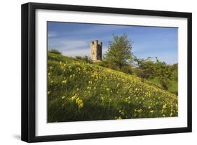 Broadway Tower with Cowslips, Broadway, Worcestershire, England, United Kingdom, Europe-Stuart Black-Framed Photographic Print