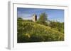 Broadway Tower with Cowslips, Broadway, Worcestershire, England, United Kingdom, Europe-Stuart Black-Framed Photographic Print