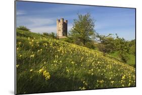 Broadway Tower with Cowslips, Broadway, Worcestershire, England, United Kingdom, Europe-Stuart Black-Mounted Photographic Print