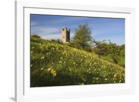 Broadway Tower with Cowslips, Broadway, Worcestershire, England, United Kingdom, Europe-Stuart Black-Framed Photographic Print