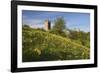 Broadway Tower with Cowslips, Broadway, Worcestershire, England, United Kingdom, Europe-Stuart Black-Framed Photographic Print