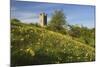 Broadway Tower with Cowslips, Broadway, Worcestershire, England, United Kingdom, Europe-Stuart Black-Mounted Photographic Print