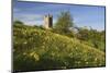 Broadway Tower with Cowslips, Broadway, Worcestershire, England, United Kingdom, Europe-Stuart Black-Mounted Photographic Print