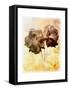 Brocade Garden I-James Burghardt-Framed Stretched Canvas