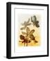 Brocade Garden III-James Burghardt-Framed Art Print