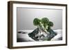 Broccoli FreshSplash-Steve Gadomski-Framed Photographic Print