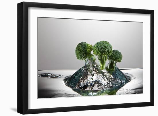 Broccoli FreshSplash-Steve Gadomski-Framed Photographic Print